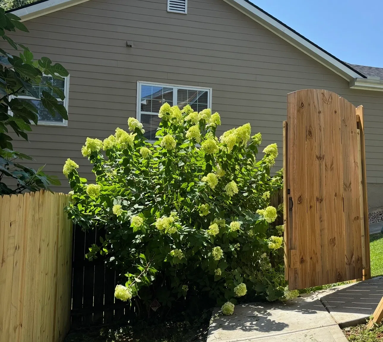 1 bed, $1,650 — Photo 3