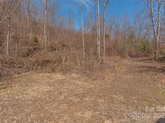5th image of 2220 Tilley Creek Rd Tract 2