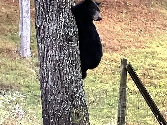 8th image of this home