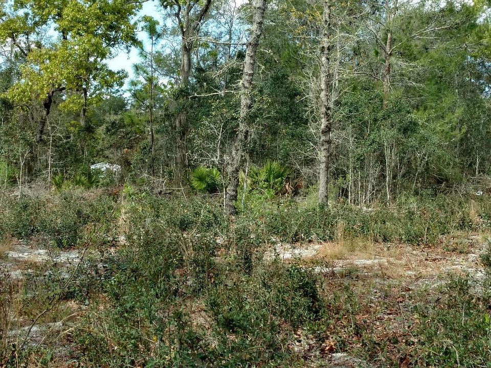 2nd image of 133 Darby Dr