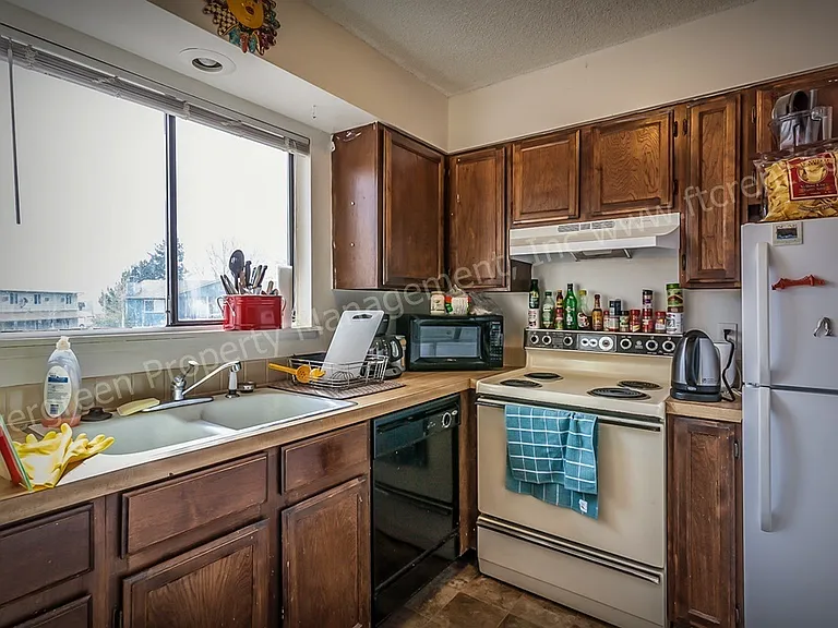 1636 E Pitkin St — Photo 3