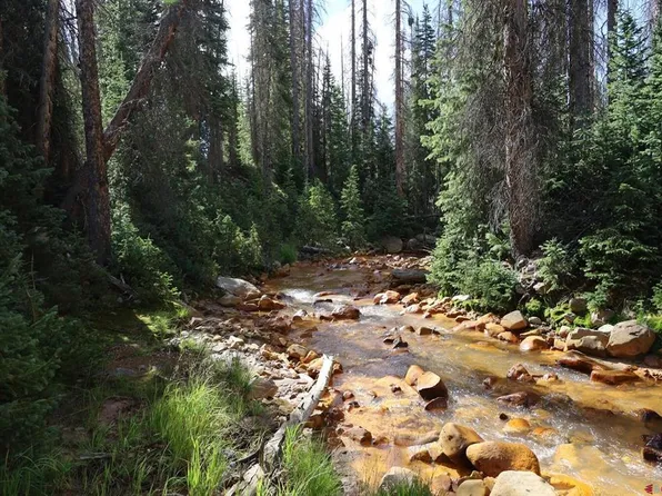 X1&2 Forest Service Road 380, Platoro, CO 81120