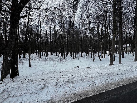 3rd image of 0 Stony Mountain Rd Lot Ev961