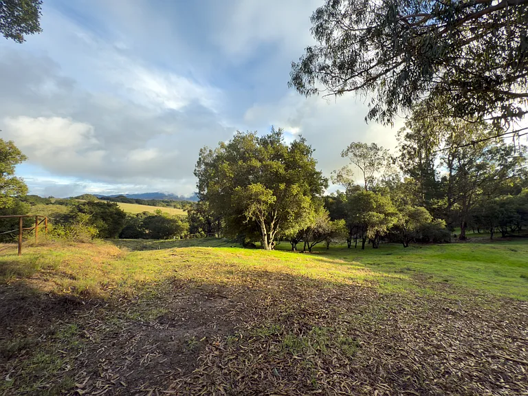View of the lower pasture with large oaks and the most stunning views.