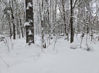 V/l S Whalen Lake Rd, Baldwin, MI 49304