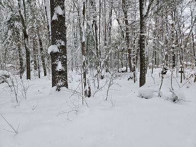 V/l S Whalen Lake Rd, Baldwin, MI, 49304