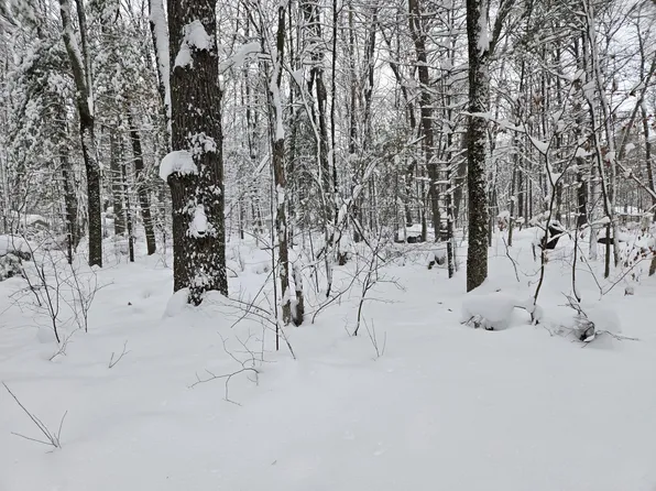 V/l S Whalen Lake Rd, Baldwin, MI 49304