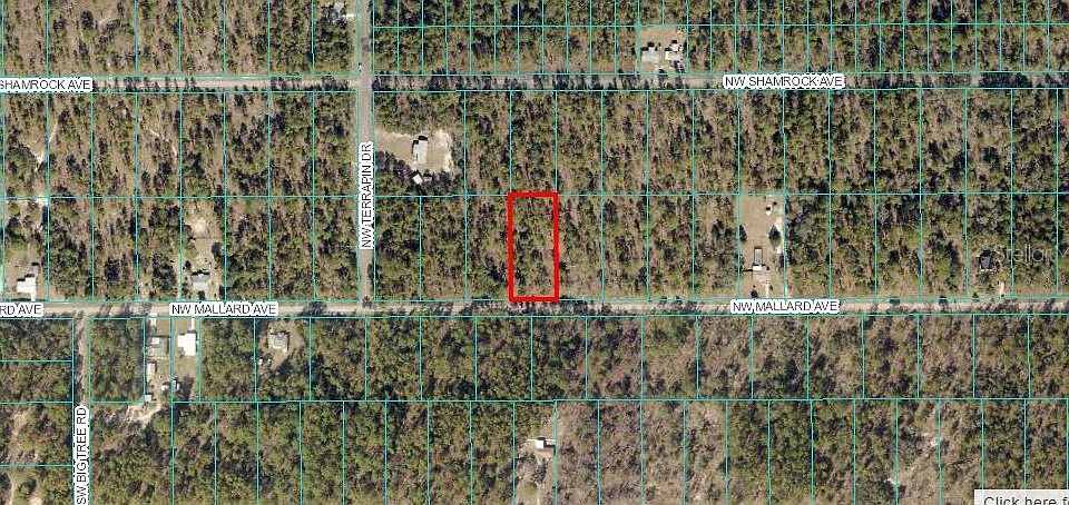 1st image of 00 NW MALLARD AVENUE LOT 33