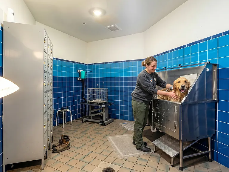 TheMonarch_DogSpa (1)