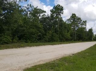 00 NE 99 Ave, Bronson, FL 32621