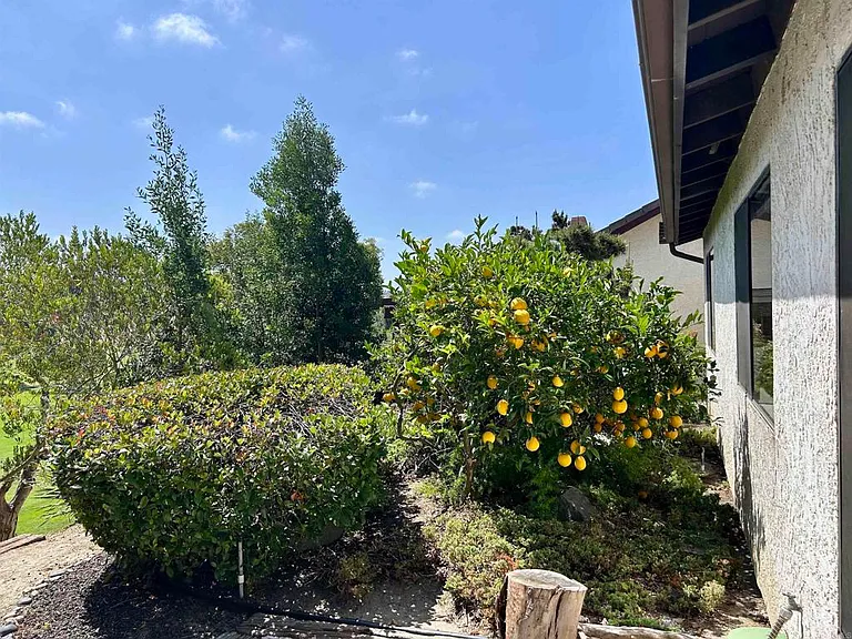2162 Palmer Dr — Photo 14