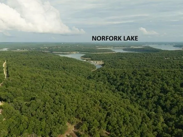2 County Road 804, Gamaliel, AR 72537