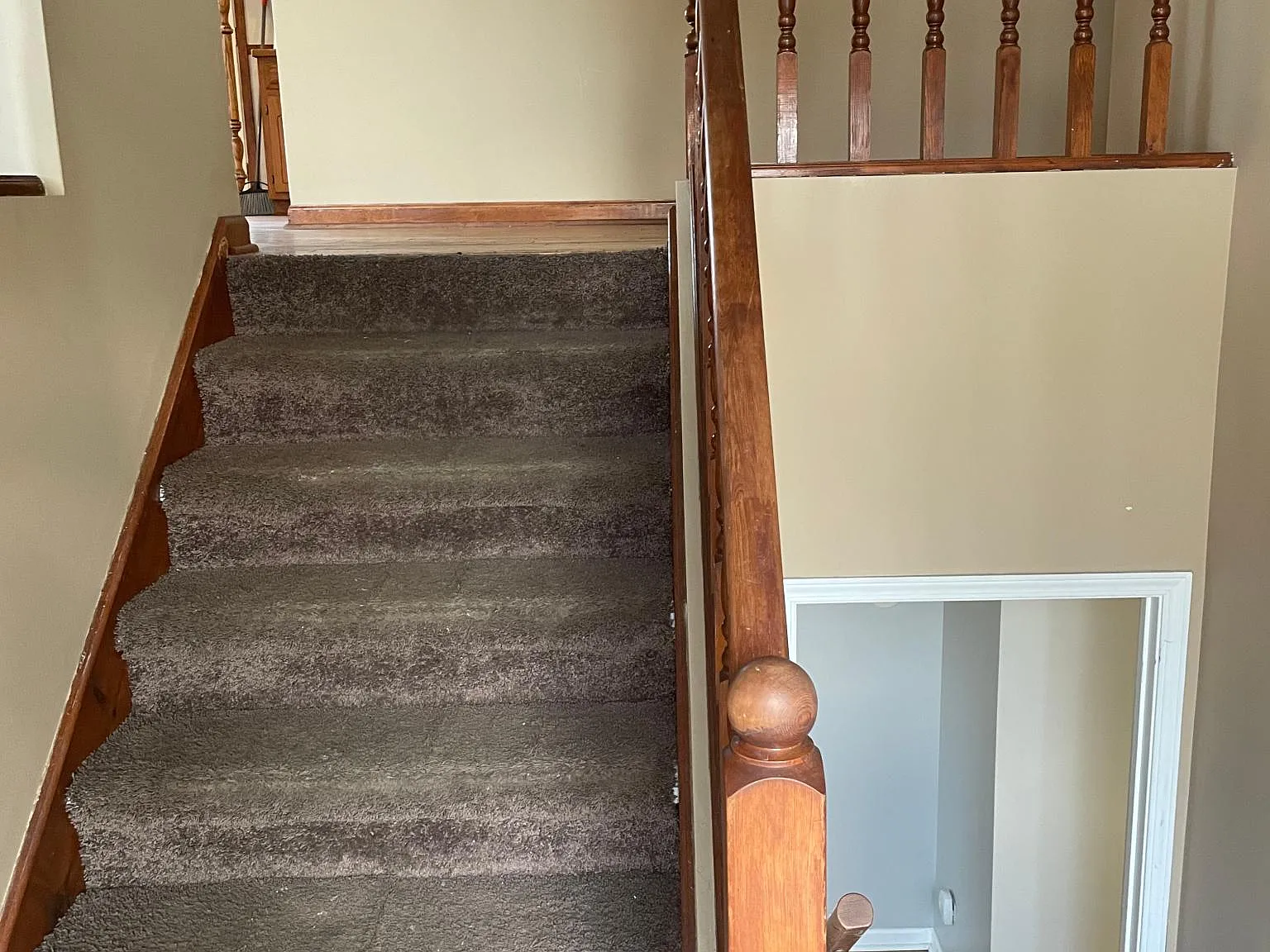 2802 Frank Turk Dr — Photo 3