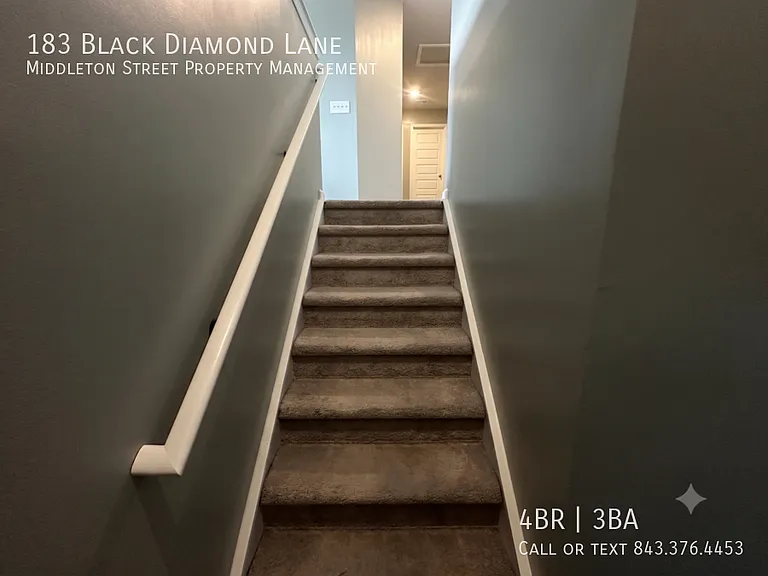 183 Black Diamond Ln — Photo 15