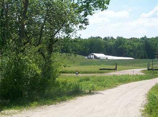 2nd image of 00 The Lane