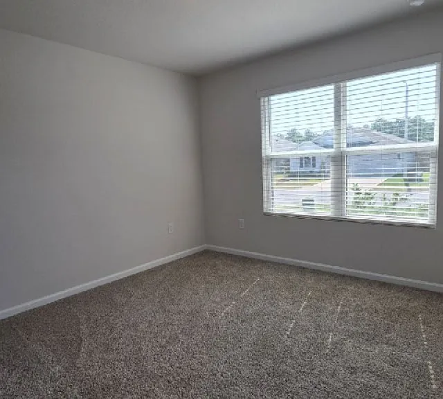 4384 White Cedar Ct — Photo 21