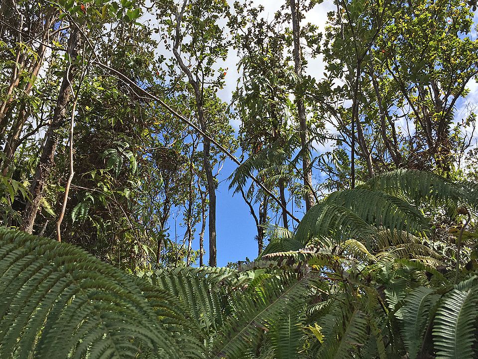 Lot 2249 Mokuna St