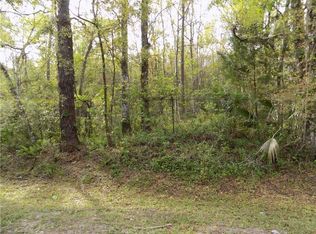 16210 Sunflower Trl, Orlando, FL 32828