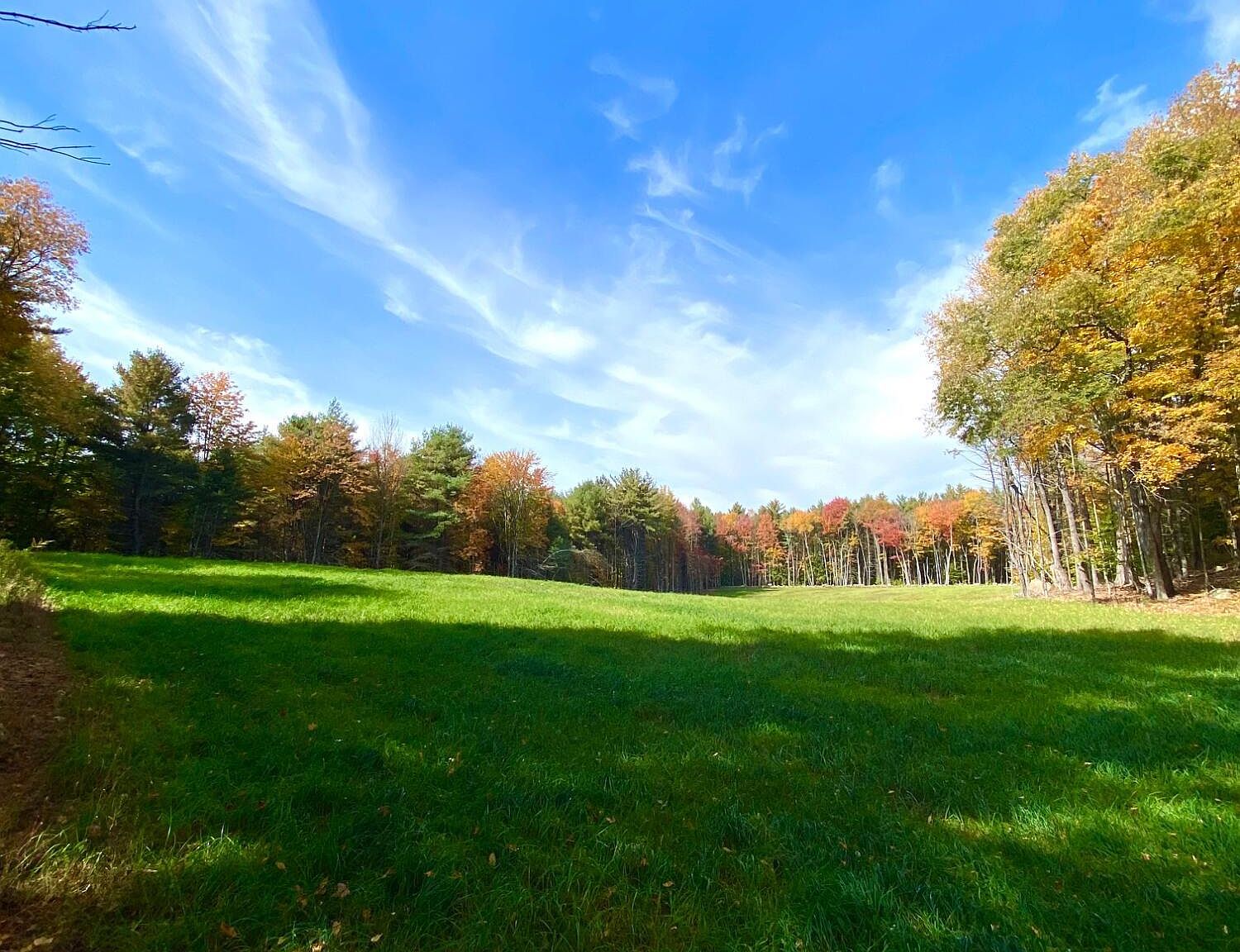 79 Ormsbee Road, Porter Corners, NY 12859 Zillow