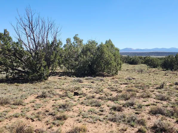 85 N 8522nd, Concho, AZ 85924
