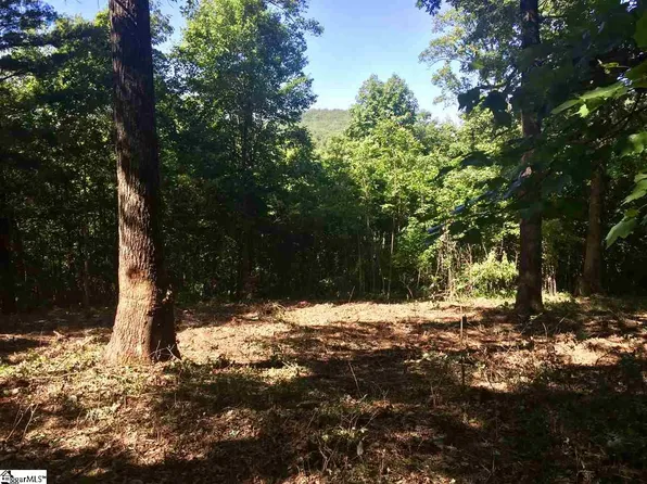 28 Wild Ginger Rd, Landrum, SC 29356