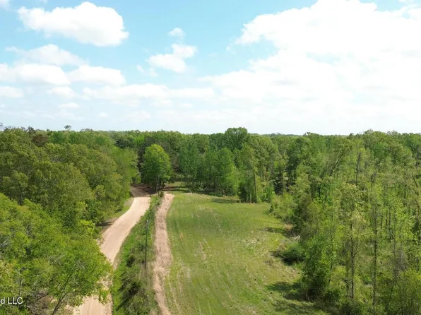 Stevens Rd, Bentonia, MS 39040