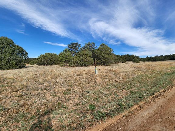 3rd image of 1137 Texas Creek Ln