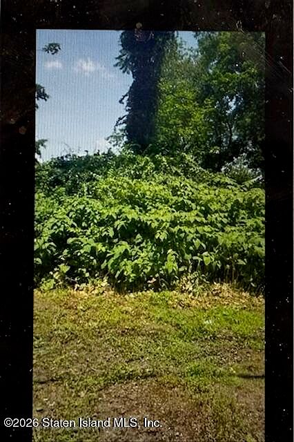 2nd image of 0 Stanley Avenue