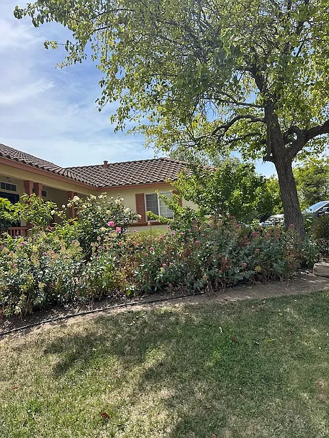 Building Photo - 1247 Romo Dr