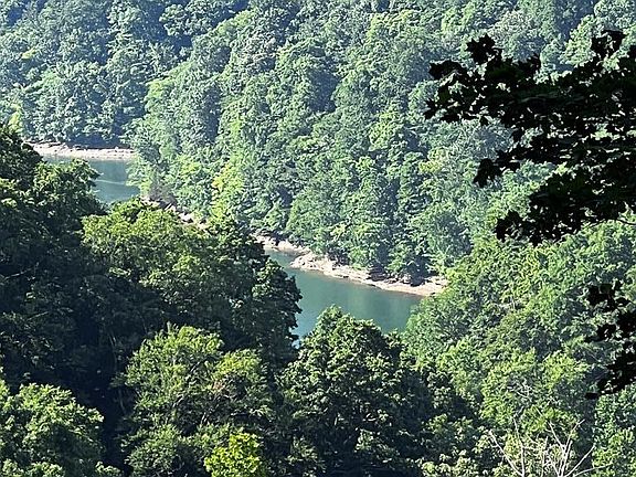 2nd image of Jimmy Reneau Rd