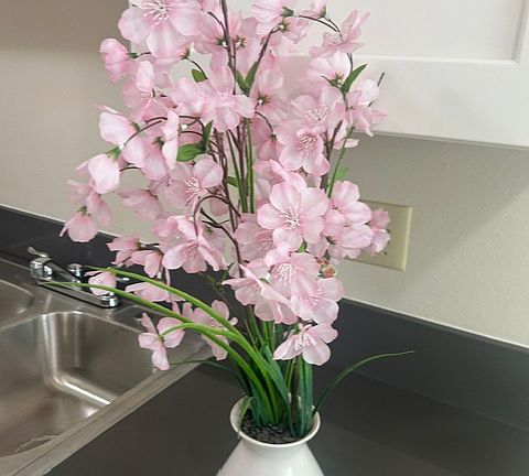 2nd image of 145 Camellia Way APT 8