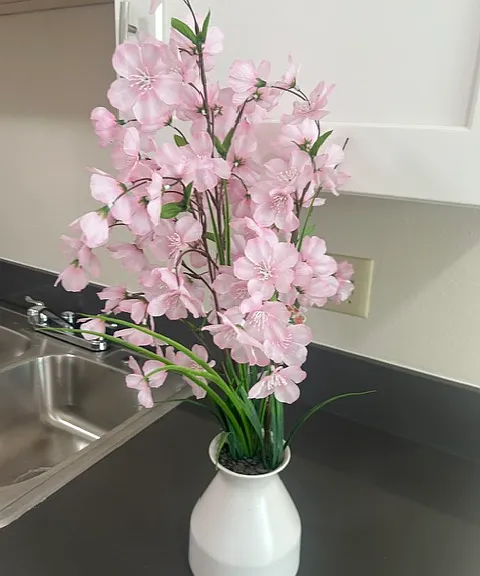 145 Camellia Way #8 — Photo 1