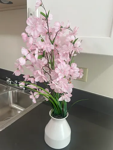 145 Camellia Way #8 Photo 1
