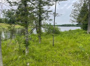 3472 High Pine Ct, Wolverine, MI 49799