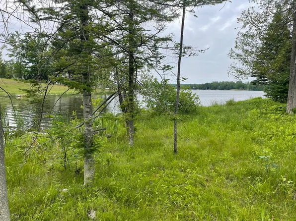 3472 High Pine Ct, Wolverine, MI 49799