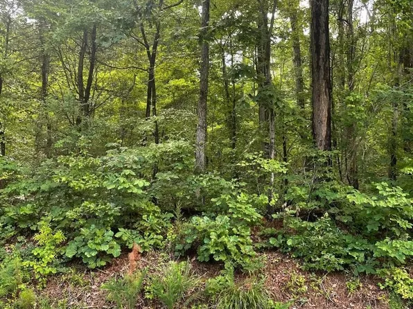 Will Suitt Rd, Creedmoor, NC 27522
