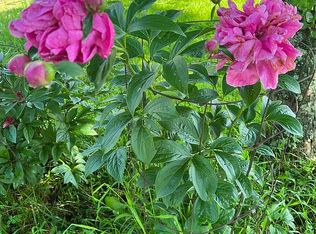 2256 Compton Mountain Rd, Pilgrims Knob, VA 24634