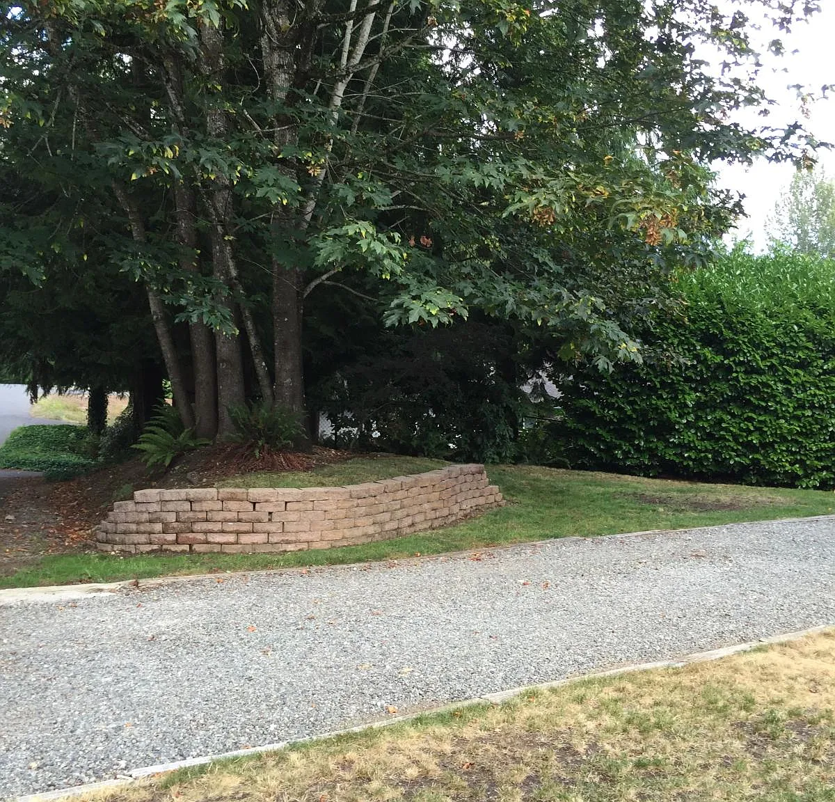 2 bed, 1500 sqft, $2,150 — Photo 3
