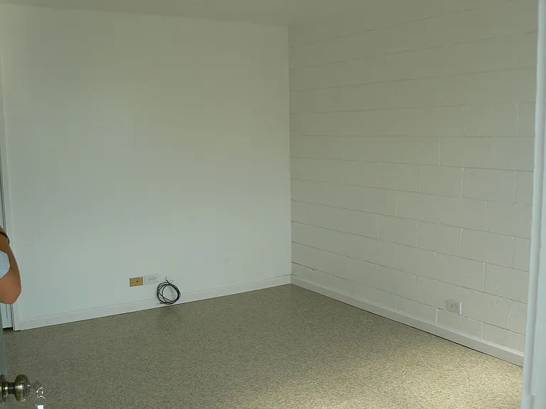 131 Kukuau St — Photo 3