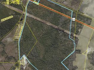 Rosindale Rd, Council, NC 28434