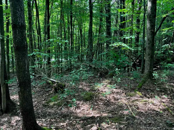 0 Manley Road #1, Milton, VT 05468