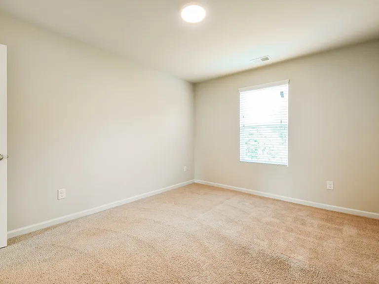 307 Hamilton Pointe Dr — Photo 13