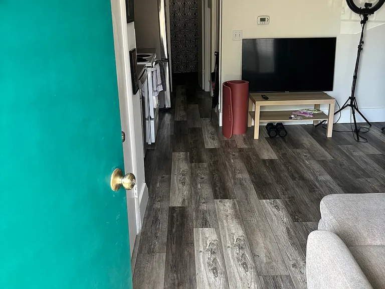 1140 N Downing St #302 — Photo 18