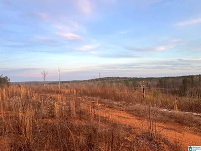 Walker Rd, Cragford, AL, 36255