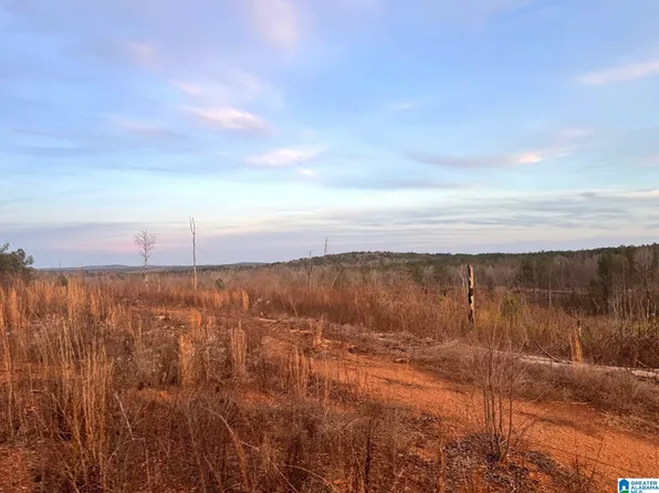 Walker Rd, Cragford, AL 36255