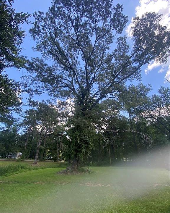 2nd image of Kastanek Rd Lot 0