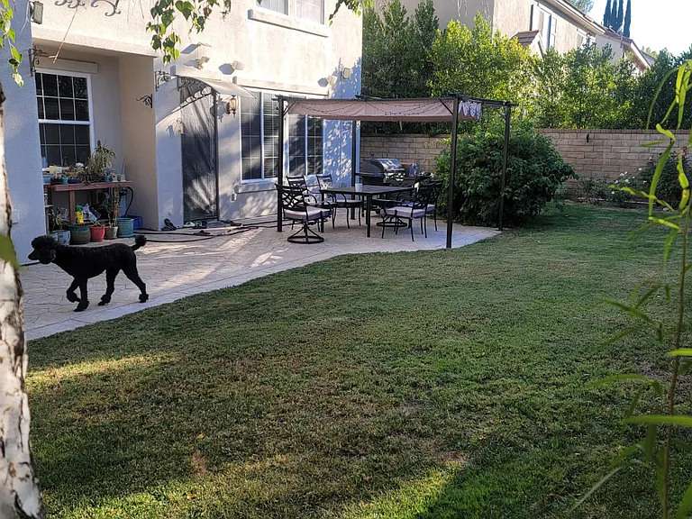 26167 Lone Rock Ct — Photo 8