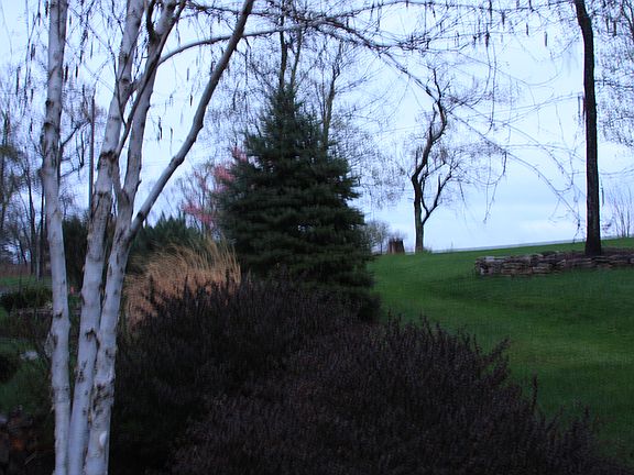 professional landscaping