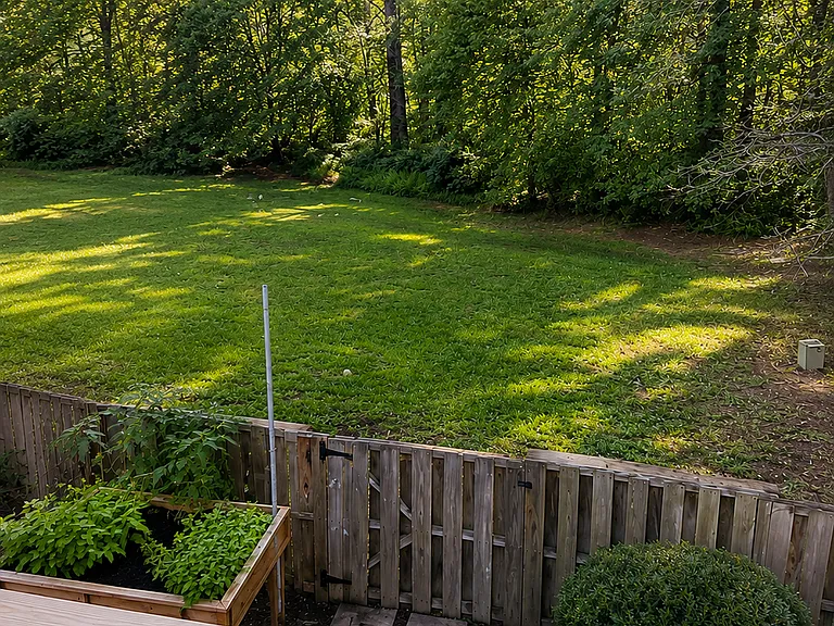 Fenced in yard that backs up to common area/greenspace