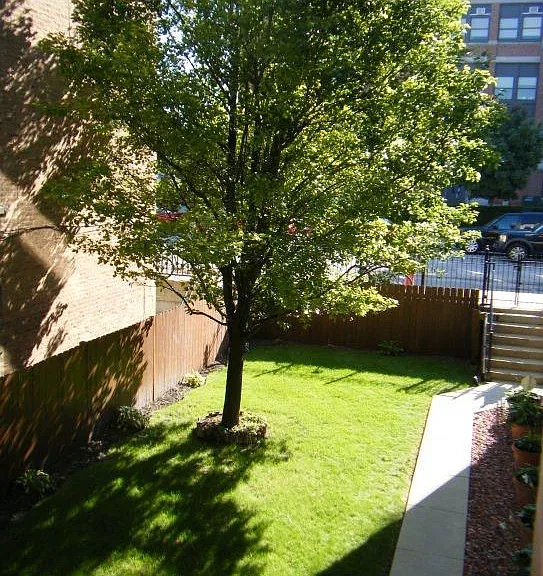 Fenced-In Yard